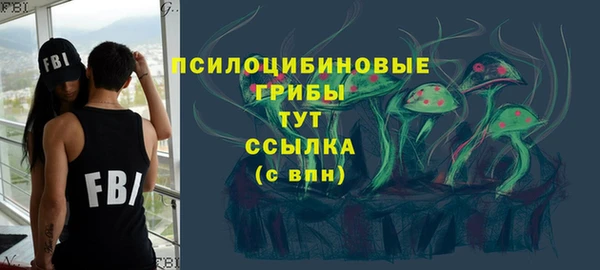 гидропоника Гусев