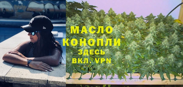 гидропоника Гусев