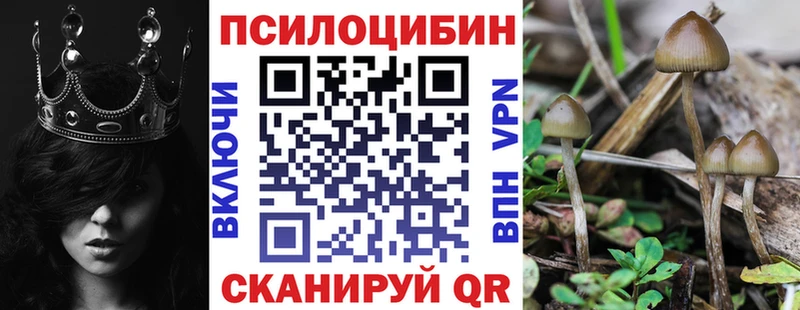 Галлюциногенные грибы мухоморы Купить где Кондопога